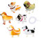 6 Stück Haustier Walking Ballons mit 1 Rolle Ballonband, Folienballons Dekoration, niedliche Hundeballons, Haustier Geburtstag Party Supplies für Geburtstagsfeier Dekorationen, Geschenke für Kinder