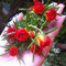 100 Stücke Mischfarbe Moos-Rose Purslane Doppel Blumensamen Zum Pflanzen (Portulaca Grandiflora) Hitze Tolerant Einfachen Anbau 1