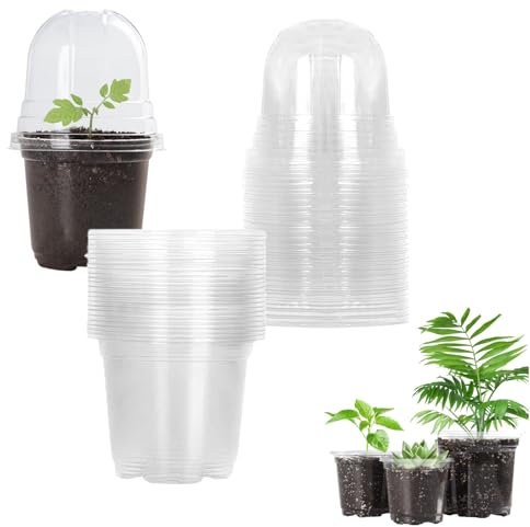 10 macetas con tapa, macetas de cultivo con cúpula de humedad, macetas de plástico transparente para plantas suculentas, semillas, plantas de semillero