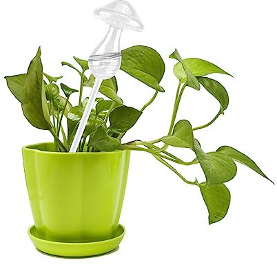 Bewässerungskugeln Für Pilzpflanzen, Automatisches Bewässerungsgerät Für Pflanzenblumen, Wasserspender aus Klarem Glas, Tropfbewässerungssystem Für Den Garten Für Den Urlaub Im Freien