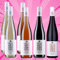 Weingut Villa Hochdörffer, Cuvée Paket Pfalz, Weißwein Cuvée, Rosé Cuvée, Rotwein Cuvée (6x 0,75l)