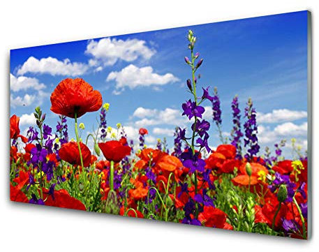 Tulup Acrylic Print 100x50cm Wall Art - Wall Picture on Plastic Acryl Glass - Tulips Nature