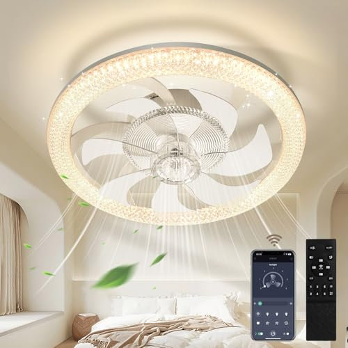 wowspeed 60W Ventilatore da Soffitto con illuminazione, 6 Velocità, Plafoniera LED Dimmerabile con Ventilatore con Telecomando e APP, Modalità Estiva e Invernale, 3000-6500K (Ø 48CM)