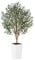 VeriNatural Olivier Artificiel 150cm-Grande Plante Artificielle d'Intérieur et Extérieur, Fausse Arbre avec Pot en Plastique Tressé Blanc&Résistant aux UV-Décoration pour Maison,Balcon,VN133