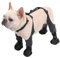 BT Bear Hundeschuhe, wasserdichte Hundeschuhe mit Hosenträgern, Haustierpfotenschutz für kleine, mittelgroße Hunde, schmutzdicht, schützt vor Stürzen, für Outdoor-Spaziergänge, Wandern, Größe M