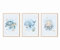 MeinBaby123® Unterwasserwelt Bilder Kinderzimmer | 3er Set DIN A4 | Wal, Schildkröte, Delfin, Seepferdchen | Kinderzimmer Deko Meer | Kinderzimmer Bilder | Geschenk zur Geburt (Unterwasserwelt V3)