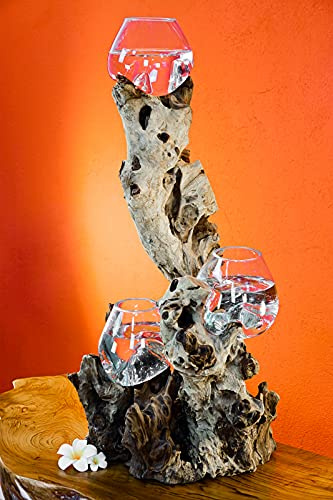 Kinaree Geschmolzenes Glas auf Wurzelholz - Glasschale auf Wurzel - Teak Holz mit Glasvase oder Schale (3 Gläser ca. 40-60x30x30 cm)