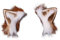 VIGVAN Kawaii Fuchs Katzen Ohren Haarband Haarnadel Katzen Cosplay (Braun Weiß Haarnadel)