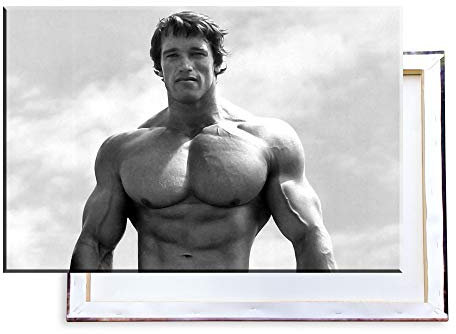Unified Distribution Arnold Schwarzenegger - 100x70 cm - Bilder & Kunstdrucke fertig auf Leinwand aufgespannt und in erstklassiger Druckqualität