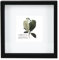 CHELY INTERMARKET Marco con profundidad 28x28cm(17x17cm) MOD-3509 Negro con paspartu para foto u objetos