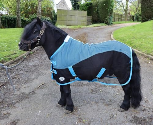 Ruggles Fleece-/Netz-Kühldecke für Shetlandpony, Miniaturpferd, Esel, ideal für Reisen, stabiles Kühlen/Trocknen nach dem Training oder Baden (Schwarz/Himmelblau, 90 cm)