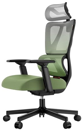 ProtoArc EC100 Ergonomic Office Chair - High Back Computer Desk Chair with 10cm Spring Cushion, Adaptive Lumbar Support, Adjustable Armrest&Headrest Mesh Swivel Chair Gaming for Home Office, Green