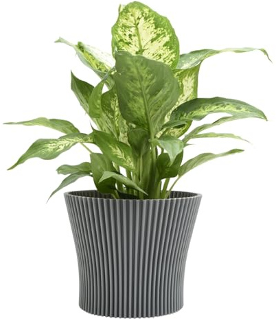 B2C Matt Ribbed Flower Pot – Modern Flared Conical Planter with Pleated Design, Lightweight, Indoor/Outdoor Decorative Plant Pot – Multiple Sizes & Colors (Dark Grey, 17cm)