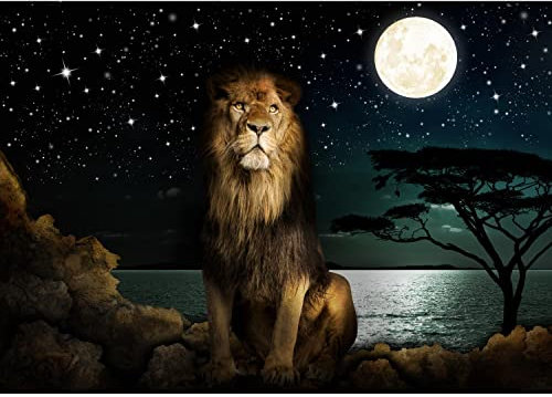 Runa Art Photo Wallpaper Africa Night Lion Modern Non-Woven Living Room Bedroom Wall Decoration - Made in Germany - Turquoise 9445010b