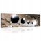 Bilder Abstrakt 3D Kugel Panorama Modern Schlafzimmer Wohnzimmer Leinwandbilder Wandbild Kunstdruck Wandbilder Wand Bild auf Leinwand UV-Beständig Aufhängefertig (PP10233, O3 (145 x 45 cm))
