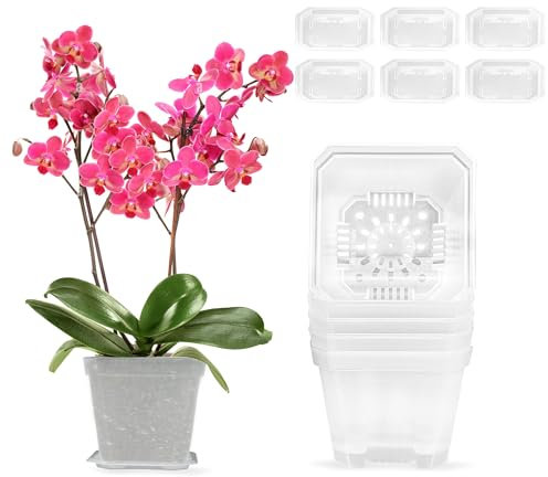 Maceta Orquidea 6 Pieza Macetas Plastico 10cm Macetas Pequeñas y Plato Agujeros de Drenaje Macetero Transparente para Orquídeas para Interior Exterior