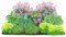Dehner Stauden-Set Schattengarten, 12 Pflanzen für schattige Standorte, mehrjährig, je 5-20 cm, Ø Topf je 9 cm, grün/bunt