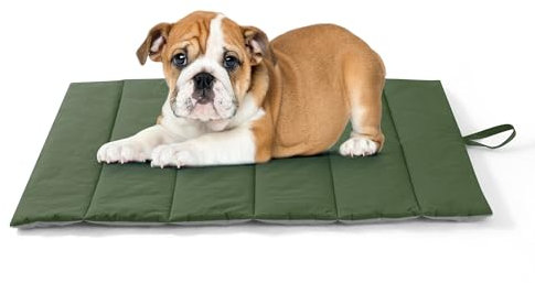 UNIKOME Hundedecke für Unterwegs rutschfeste Antistatische und Langlebige Hundematte, Hundekissen Waschbar Mittelgroße und Kleine Hunde, Reisebett Hund für Reise Outdoor (Grün+Grau, 76 * 48cm)