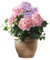 Dekoleidenschaft Plante artificielle hortensia dans un pot doré de 55 cm de haut - Plante décorative en pot - Décoration pour salon, cuisine et bureau