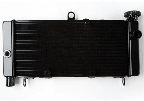 ZAMFHPVG Protezione Griglia Radiatore Motociclo for Honda CB600F Hornet 600 1998-2006 Griglia Protezione Radiatore Motociclo Protezione Radiatore Dell'olio Rete Protezione Radiatore