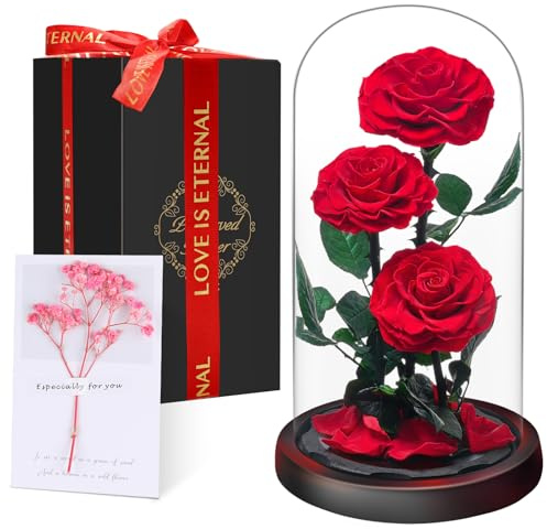 Muttertagsgeschenk Ewige Rose im Glas, Drei Rote Rosen, Konservierte Echt Blume für 5 Jahre, Infinity Rose, Geschenk für Frauen, Mama, Freundin, für Sie, zum Valentinstag, Jahrestag, Geburtstag