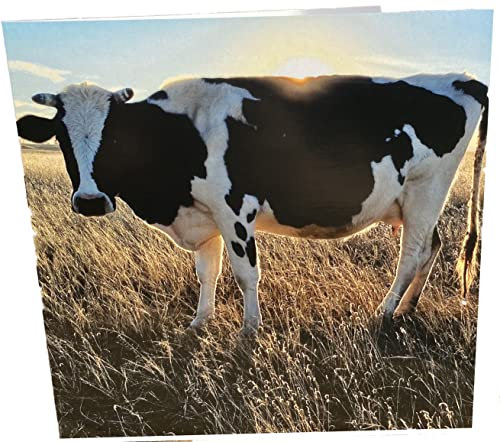 Maturi Tarjeta fotográfica de felicitación de cumpleaños con diseño de vaca lechera, 15,5 x 15,5 cm