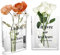 FWEEK 3 Stück Buch Vase, 18x15x4cm Buchvasen, Klare Buchvase for Flowers, Blumen Bücher Vase, Durchsichtige Book Vase für Blumenarrangements, Mittelstücke und Heimdekoration