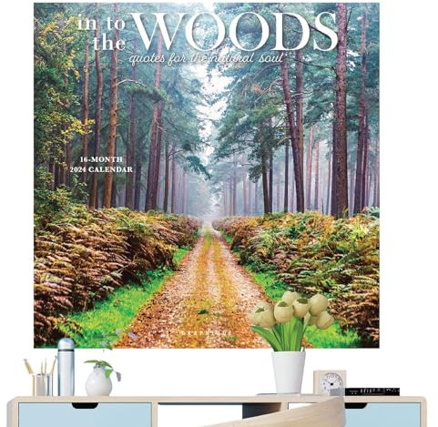 Wandkalender 2024 Into The Woods - Querformat Bild Wandkalender | 2024 Hängender Monats-Wandkalender 2024 Wandkalender Go into Forrest Monatlicher Wandkalender für Wand