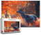 REH Puzzle 120 Teile Kinder, Jigsaw Puzzle Tier Puzzle Erwachsene, Junge, Mädchen, Geschicklichkeitsspiel für Die Ganze Familie, Klassische Holzpuzzle für Wand Zimmer Deko Wohnzimmer, Geschenke Z-6