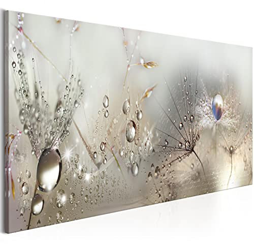 murando Acrylglasbild Pusteblume 120x40 cm 1 Teilig Wandbild auf Acryl Glasbilder Kunstdruck Moderne Acrylglas Platte Wanddekoration Geschenke Heimdekoration Glasbild Blumen Natur grau Pusteblumen