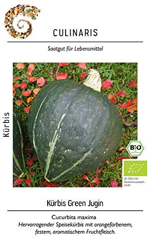 Culinaris 057 Kürbis Green Jugin (Bio-Kürbissamen)