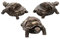 Jiakalamo Lot de 3 mini pieds de support de pot de fleurs en forme d'animal pour intérieur et extérieur pour améliorer la circulation de l'air et le drainage (tortue)