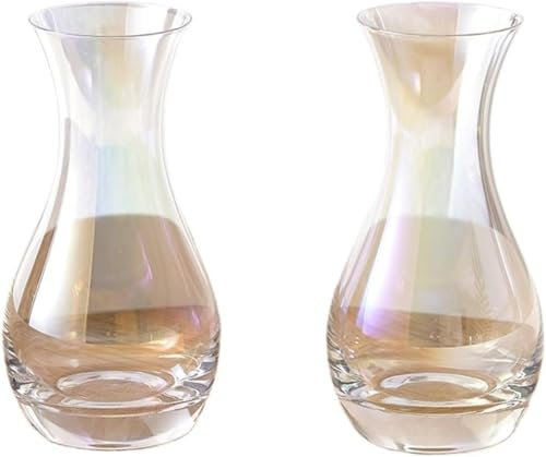 YUEKOPOU Glasvase, Einfache transparente Glasvase, hydroponische Blumenarrangement-Dekoration, Wohnzimmer-Desktop-Dekoration(12)