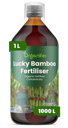 Engrais liquide organique 1L pour Bambou chanceux – croissance optimale et feuillage luxuriant – Organifer