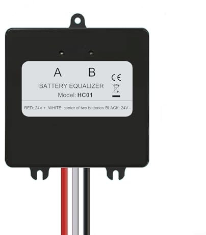 Hasaller Battery Equalizer 24 V Digital Display 2x12V Battery Balancer for Acid Lithium Batteries Battery Charge Discharger with 24V Battery Equaliser(HA01)