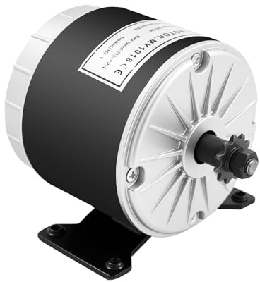 Generatore di motore elettrico permanente e motore elettrico da 350 W, 24 V, 2750 giri/min, motore elettrico DC permanente per Go-kart, moto, biciclette elettriche