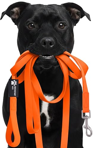 Reichstadt Pets Robuste PVC Hundeleine für Hunde 25RSP086 Orange 10m | Wasserabweisend, rutschfeste Oberfläche | 360° Edelstahl-Karabiner, pflegeleicht & wetterfest
