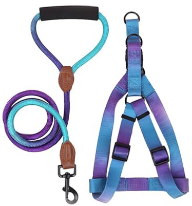Hundegeschirr mit Leine, Brustgurt für Haustiere, EasyControl, Spazierengehen, buntes Geschirr für Outdoor-Aktivitäten