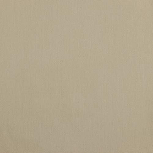 Hans-Textil-Shop Stoff Meterware Uni Jersey - 1 Meter, Schadstoffgeprüft, Jerseystoff, Deko, Kleidung, Shirts, Röcke, Leggings (Sand Beige)