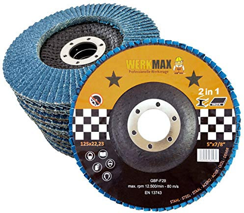 WFS Fächerscheiben 125 mm | 10 Schleifscheiben Korn 60 | Metall Lamellenscheibe