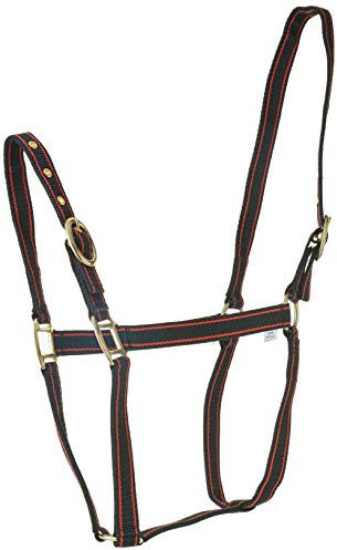 Rhinegold Schwarz/Rot Nylon Halfter-X Full, Kaltblut/Warmblut extragroß