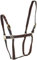 Rhinegold Schwarz/Rot Nylon Halfter-X Full, Kaltblut/Warmblut extragroß