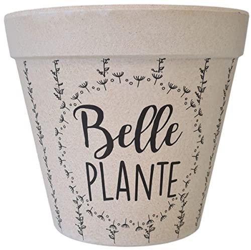 Zen et Ethnique Cache Pot Bambou Belle Plante 15 cm