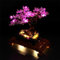 Kit di illuminazione a LED per Lego 10281 Bonsai, kit di illuminazione compatibile con 10281 Bonsai Tree Building Blocks Model - Modello non incluso - Kit fai da te per adulti (rosa)