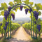 Arche de jardin, cadre d'escalade autonome en métal, 120-250 cm, treillage de roses réglable pour mariage, jardin, balcon (vert, 1,2 x 2,20 m)