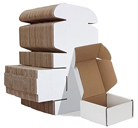 HORLIMER 4x4x2 inches Shipping Boxes Set of 100, White Corrugated Cardboard Box Literature Mailer