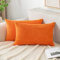 EMEMA Kissenbezug 40x60 cm Herbst Kordsamt Kissenbezüge Dekokissen Sofakissen Cord Kissenhülle Zierkissenbezug Kord Dekorative Weiche für Sofa Wohnzimmer Schlafzimmer 2er Set Orange