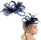 Fascinators für Hochzeiten Fascinator Damen Haarschmuck Hochzeit Haarreifen Damen Federn und TüLl Fascinators 1 Stück HochzeitshüTe für Frauen und 1 Stück Haarband in der Gleichen Farbe
