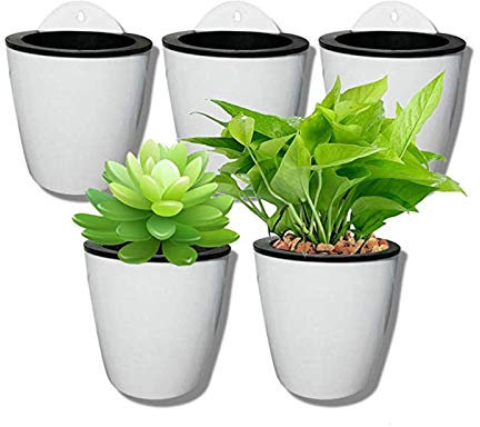 LTLCLZ Riego Automático con Macetas para Jardineras Colgantes Agua Que Cuelga La Maceta Macetas De Plantas Maceta para Colgar En La Pared Interior Forma Redonda, 5Pcs
