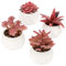 BELLE VOUS Lot de 4 Plantes Succulentes Artificielles Roses en Pot - Fausses Plantes Décoratives en Pot - Pots en Céramique pour Décoration de Maison, Bureau, Table, Chambre ou Salle de Bain